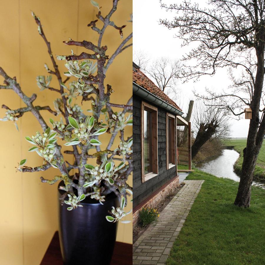 Tante W Wijtgaard Exterior foto